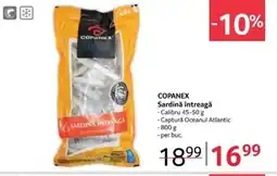 Selgros COPANEX Sardină întreagă Ofertă