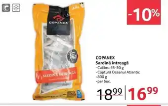 Selgros COPANEX Sardină întreagă Ofertă