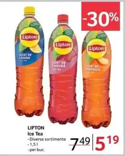 Selgros LIPTON Ice Tea Ofertă