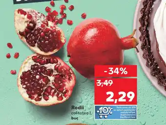 Kaufland Rodii Ofertă