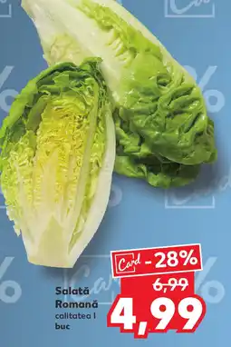 Kaufland Salată Romană Ofertă