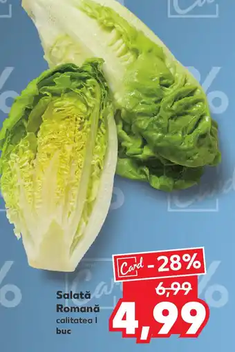 Kaufland Salată Romană Ofertă