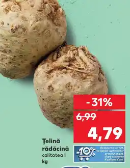 Kaufland Ţelină rădăcină Ofertă