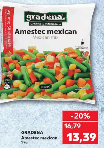 Kaufland GRADENA Amestec mexican Ofertă