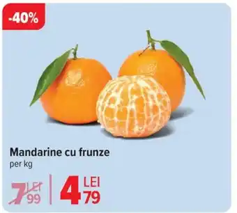 Carrefour Mandarine cu frunze Ofertă