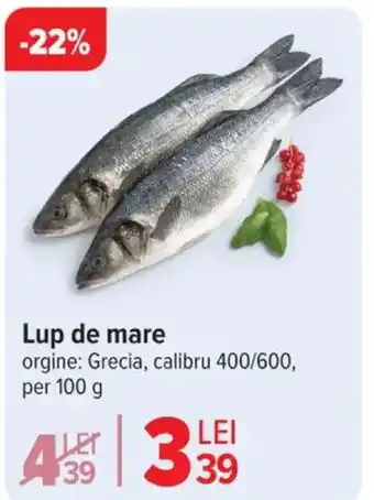 Carrefour Lup de mare Ofertă