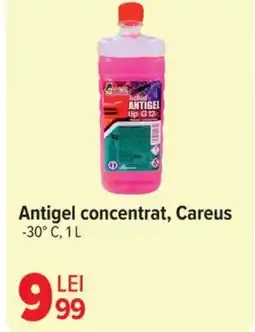 Carrefour Antigel concentrat, Careus Ofertă