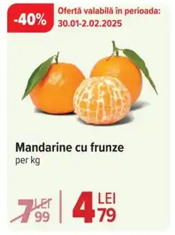 Carrefour Market Mandarine cu frunze Ofertă