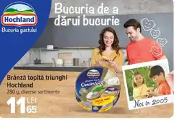 Carrefour Market Brânză topită triunghi Hochland Ofertă