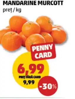 Penny Mandarine murcott Ofertă