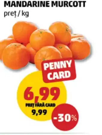 Penny Mandarine murcott Ofertă