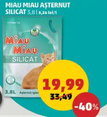 Penny Miau miau aşternut silicat Ofertă