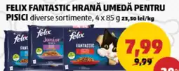 Penny Felix fantastic hrană umedă pentru pisici Ofertă