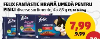 Penny Felix fantastic hrană umedă pentru pisici Ofertă