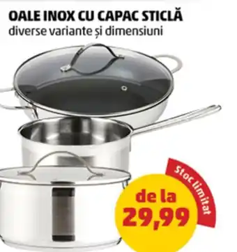 Penny Oale inox cu capac sticlă Ofertă