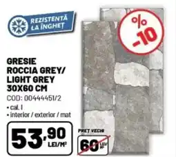 Ambient Gresie roccia grey/ light grey Ofertă