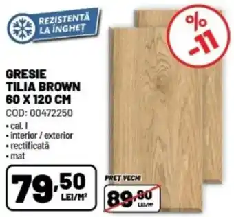 Ambient Gresie tilia brown Ofertă