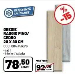 Ambient Gresie raggio pino/ cedro Ofertă