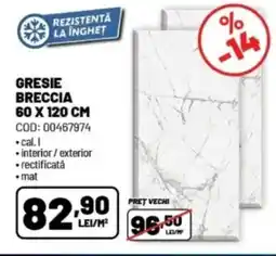 Ambient Gresie breccia Ofertă