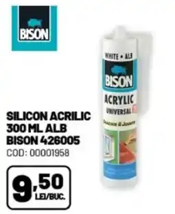 Ambient Silicon acrilic alb bison 426005 Ofertă