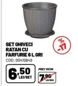 Ambient Set ghiveci ratan cu farfurie Ofertă