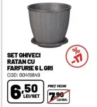 Ambient Set ghiveci ratan cu farfurie Ofertă