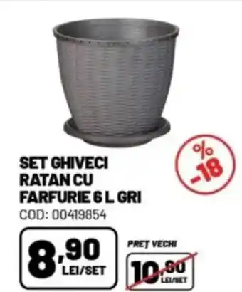 Ambient Set ghiveci ratan cu farfurie Ofertă