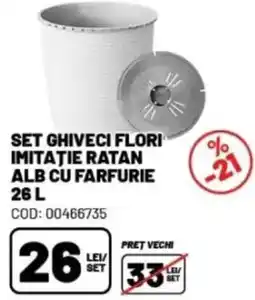 Ambient Set ghiveci flori imitaţie ratan alb cu farfurie Ofertă