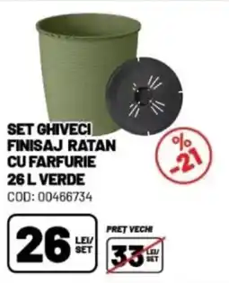 Ambient Set ghiveci finisaj ratan cu farfurie verde Ofertă