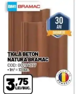 Ambient Tigla beton natura bramac Ofertă