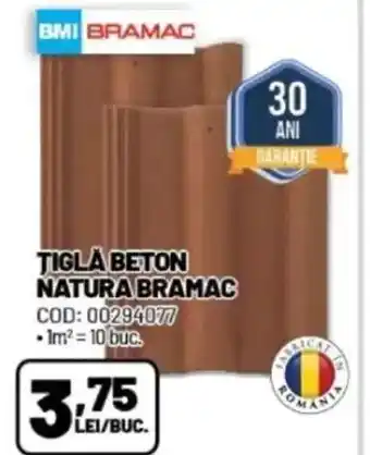 Ambient Tigla beton natura bramac Ofertă