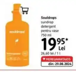 DM Souldrops sundrop detergent pentru vase Ofertă