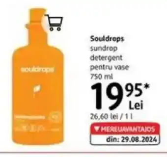 DM Souldrops sundrop detergent pentru vase Ofertă