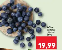 Kaufland Afine Ofertă