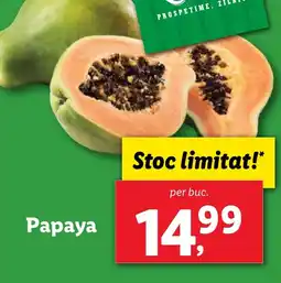 Lidl Papaya Ofertă