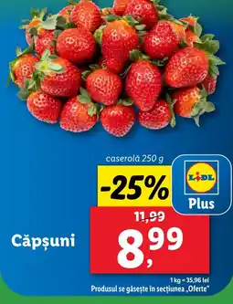 Lidl Căpşuni Ofertă