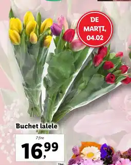 Lidl Buchet lalele Ofertă