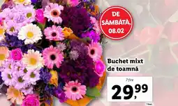 Lidl Buchet mixt de toamnă Ofertă