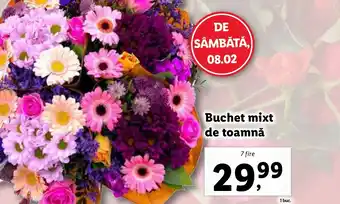 Lidl Buchet mixt de toamnă Ofertă