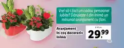 Lidl Aranjament în coș decorativ inimă Ofertă