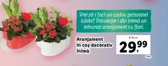 Lidl Aranjament în coș decorativ inimă Ofertă