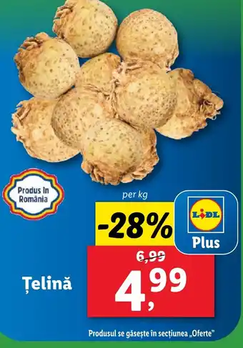 Lidl Telină Ofertă