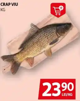 Auchan Crap viu Ofertă