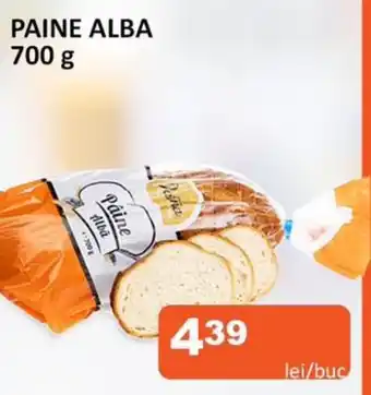 Unicarm Paine alba Ofertă