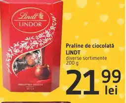 Supeco Praline de ciocolată LINDT Ofertă