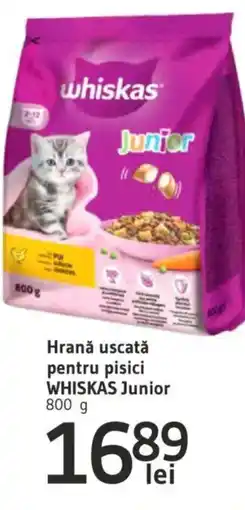 Supeco Hrană uscată pentru pisici WHISKAS Junior Ofertă