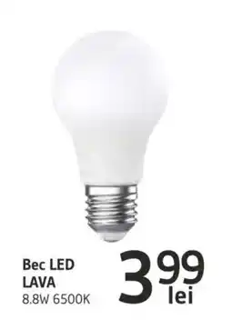 Supeco Bec LED LAVA Ofertă