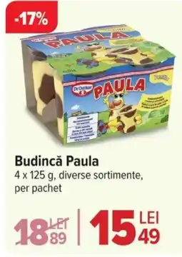 Carrefour Market Budincǎ Paula Ofertă