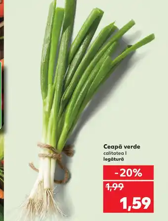 Kaufland Ceapă verde Ofertă