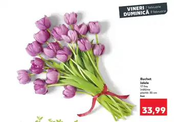 Kaufland Buchet lalele Ofertă